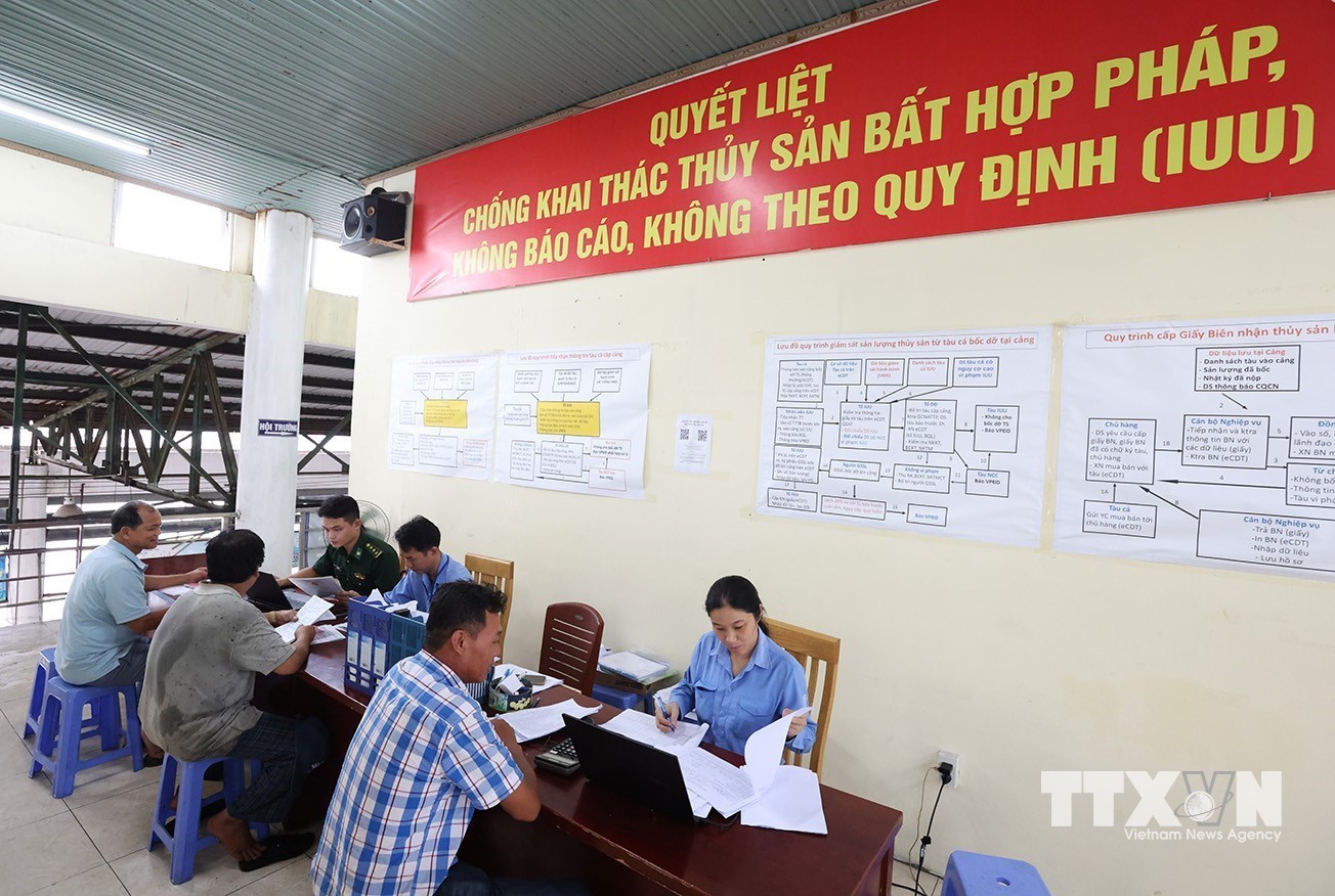 Bộ đội Biên phòng phối hợp với các lực lượng chức năng kiếm tra thủ tục hành chính của tàu cá, trước khi vươn khơi bám biển tại cảng Hòn Rớ ở phường Nam Nha Trang, tỉnh Khánh Hoà. (Ảnh: Vũ Sinh/TTXVN)